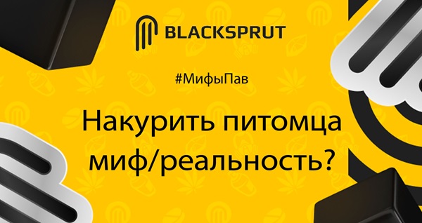 вас посетила BlackSprut market ссылка BlackSprut2web com закладки BlackSprut market ссылка BlackSprut2web com ошибаетесь. Предлагаю